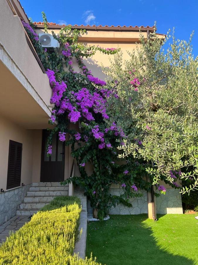 Apartments House Barbara Kornic Bagian luar foto